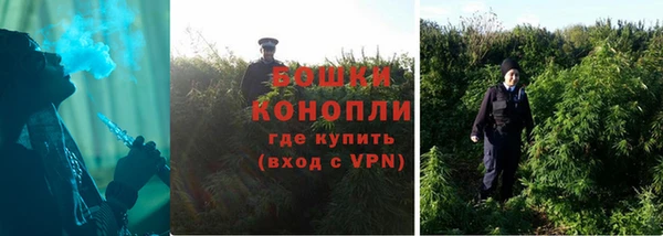 стафф Ростов